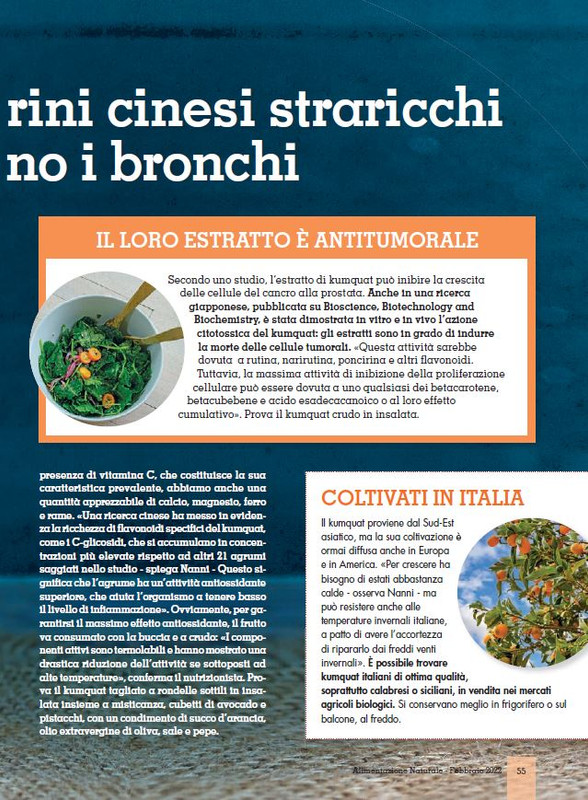 Alim Nat Feb 2022 (8)