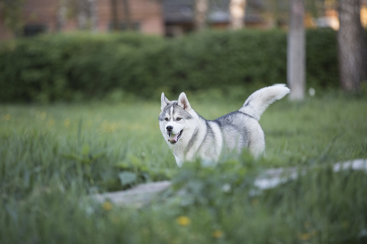 DCA0038A-96E3-4CF1-8BB2-27C31A88850B