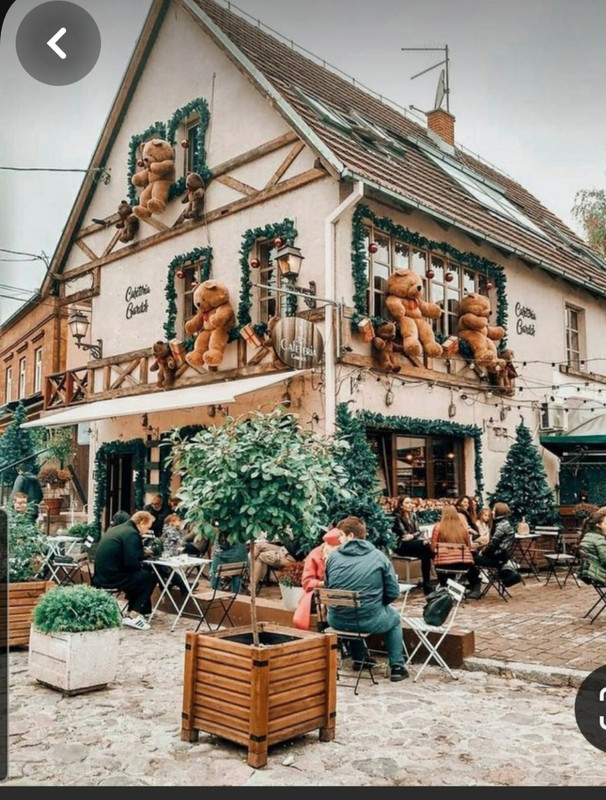 Screenshot_20231119_001356_Pinterest