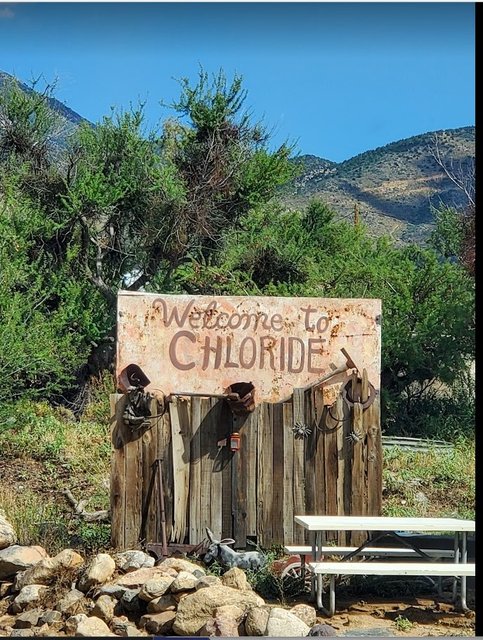 [Image: AZChoride202309.jpg]