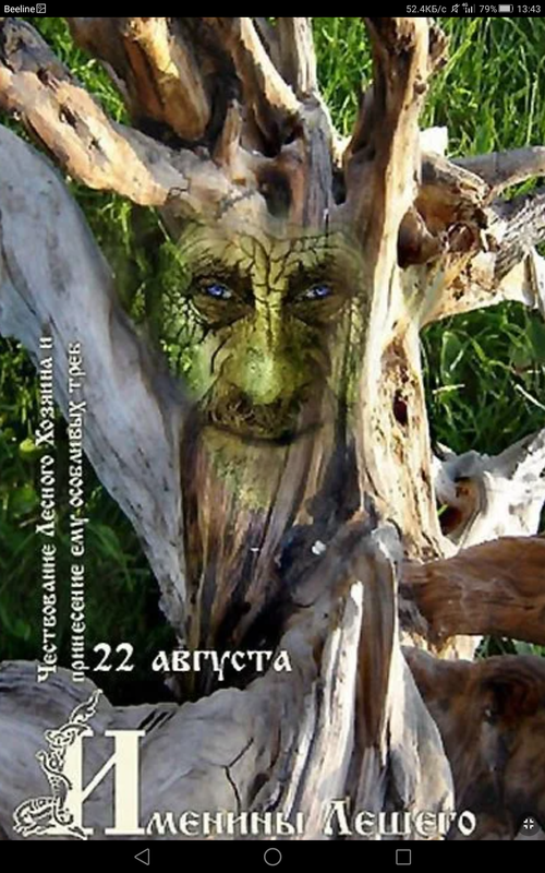 Screenshot_2023-08-22-13-43-06