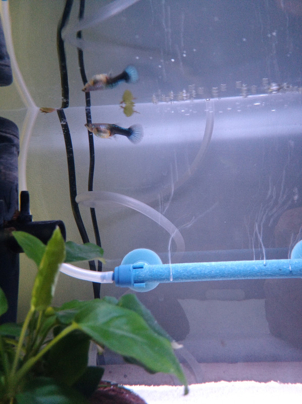 17106090990361699049282750623714