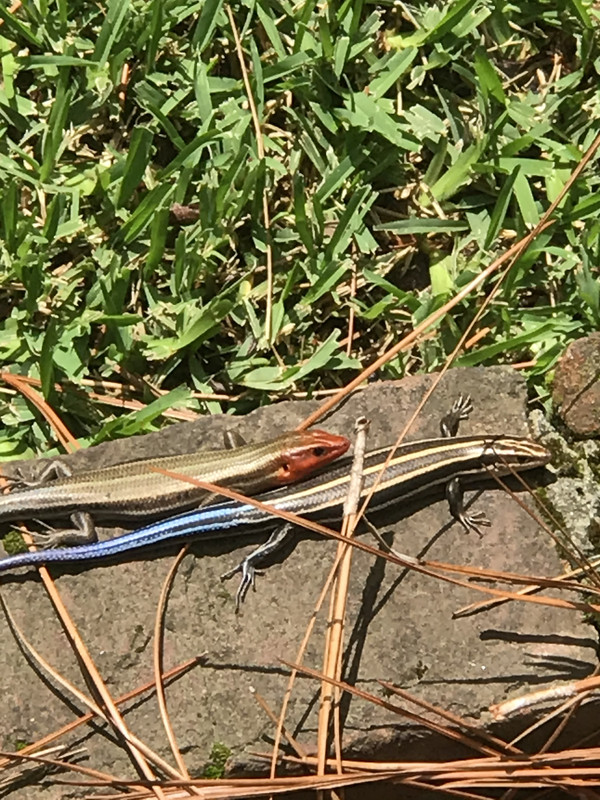 6F9E5272-1980-4E15-9759-DDE99110CBAC