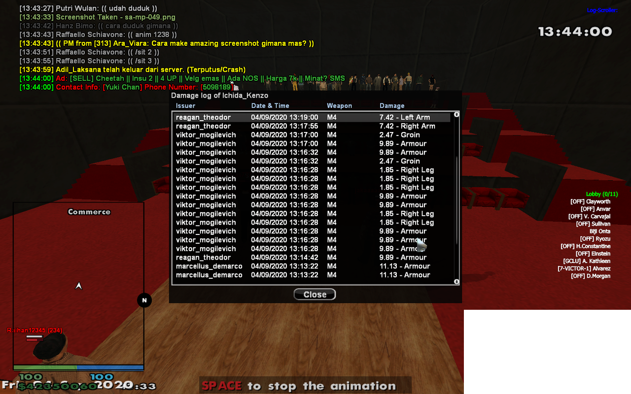 aray-2.png