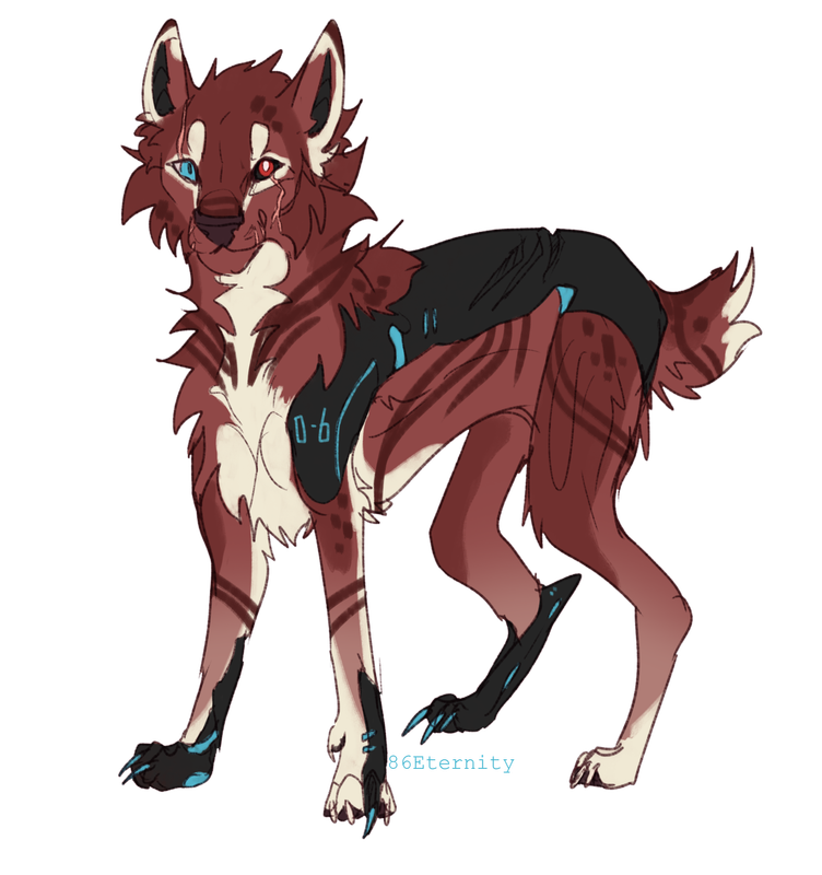 Rayne-Redesign-gift.png