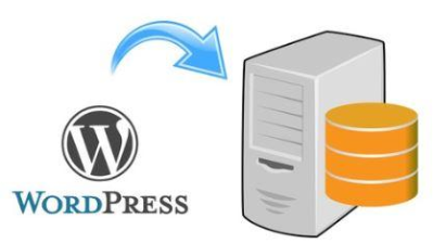 Install Wordpress on a VPS: A Step by Step Guide