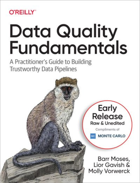 Data Quality Fundamentals (Sixth Early Release)