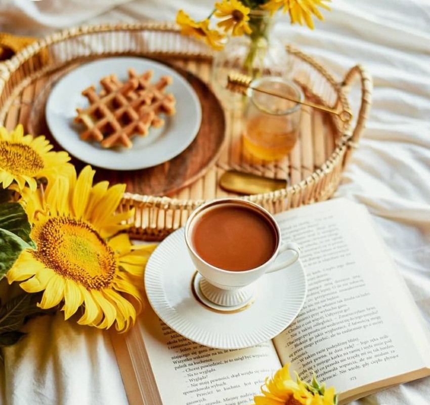 Screenshot_20221213-210831_Chrome