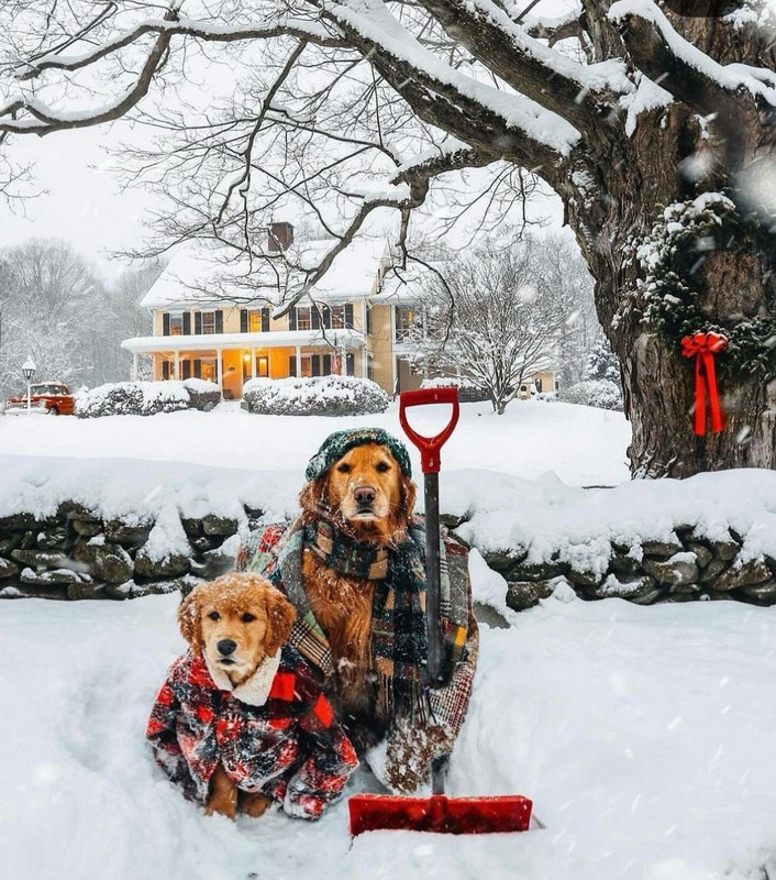 Screenshot_20231108_202544_Instagram