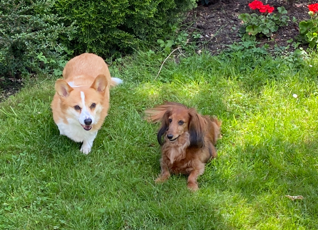 [Image: 6-C04-F4-E3-BDA8-440-A-8-D7-A-B9-B209-C924-B0.jpg]