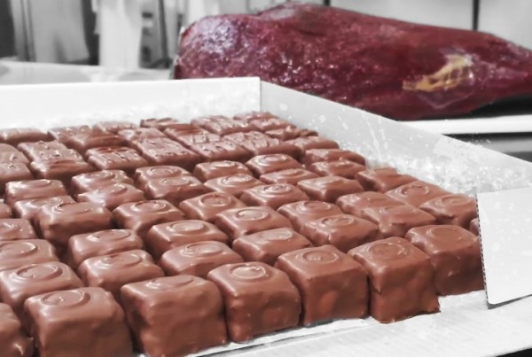Cokelat dari daging sapi