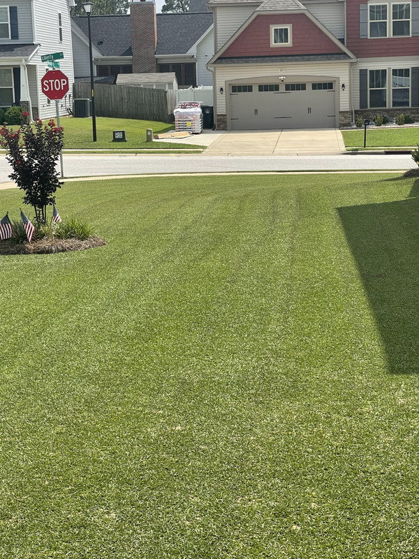 Curious Tire Marks Lawn Care Forum