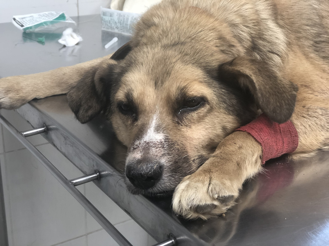 932BDC28-6A3B-44E7-9B20-7885D88210F6