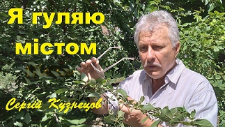Я гуляю містом
