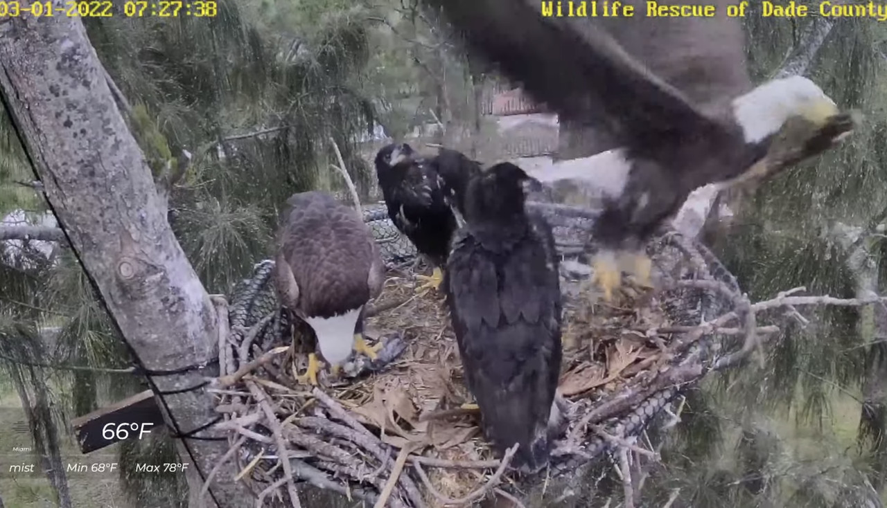 0EA484DC-E539-4C78-8FC5-74F870B782F5