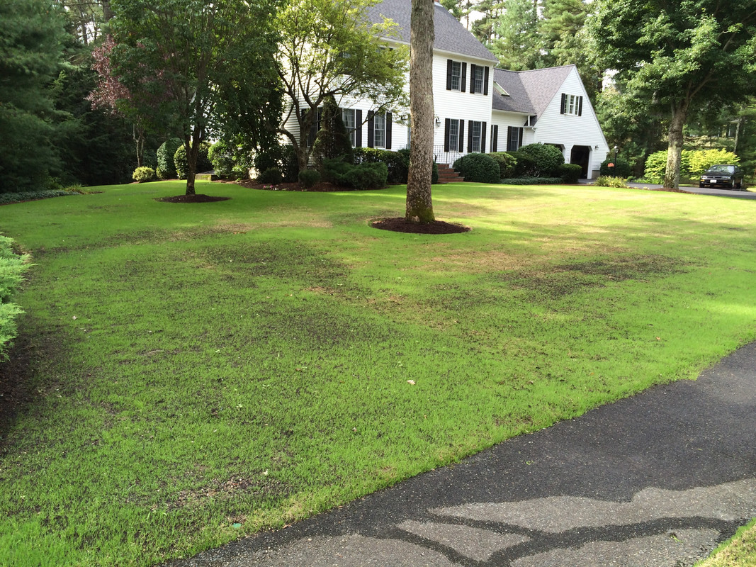 September 3 2016 (6)