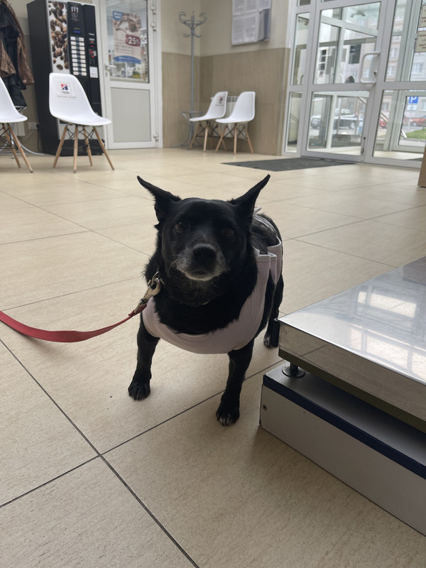 F5F3FA34-4139-4AC9-8BB3-D1928AF49E45