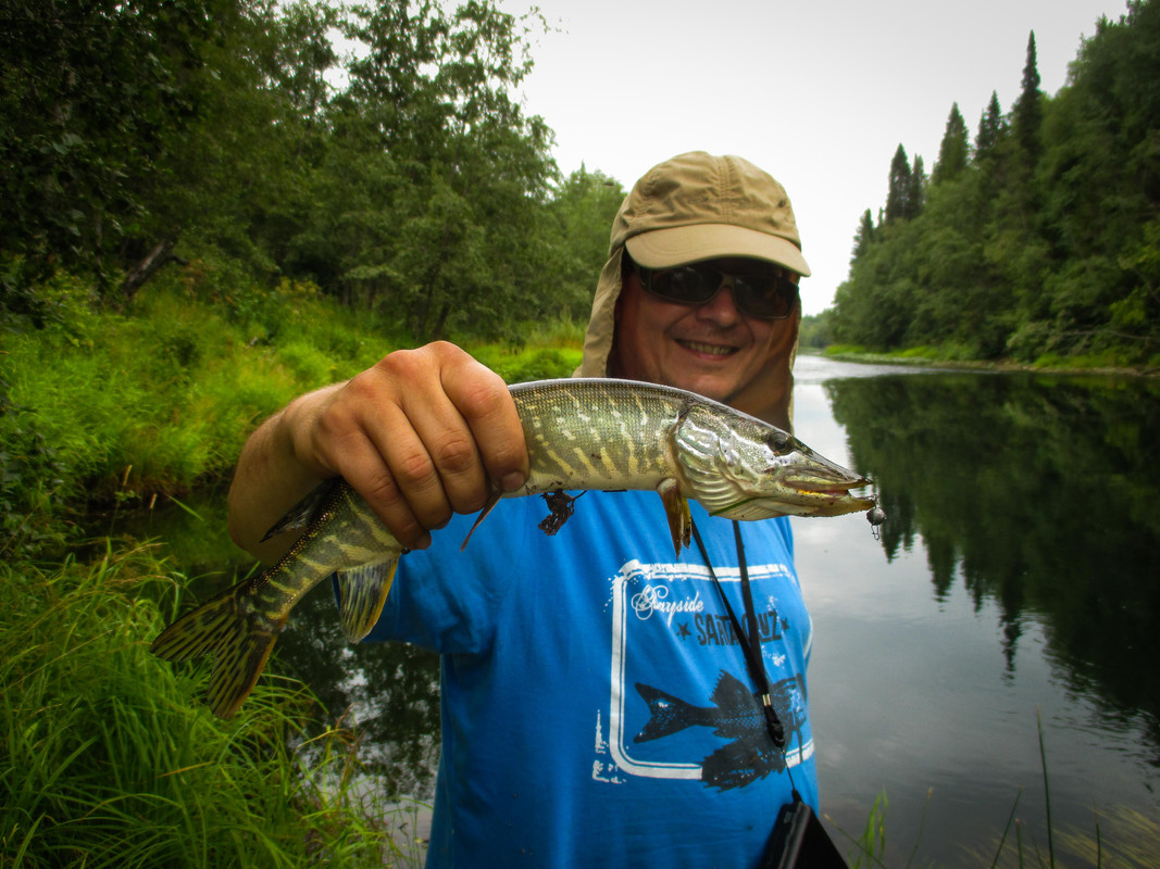 без имени-37