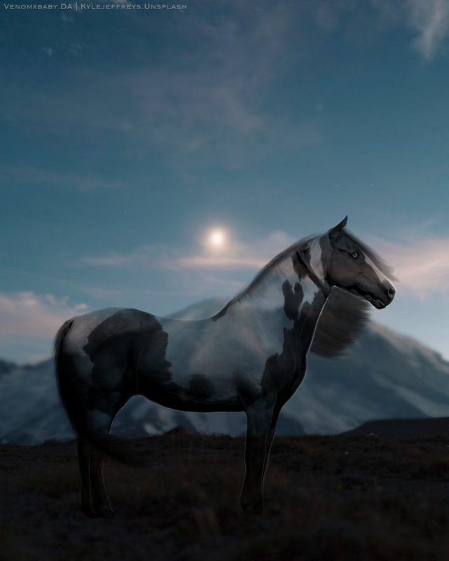 8BDBF14D-6C8C-4404-9FA2-039B47292667