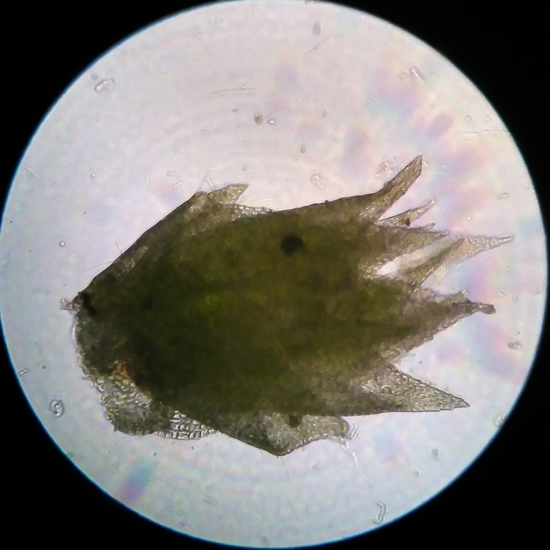 IMG 20250615 222109 HDR