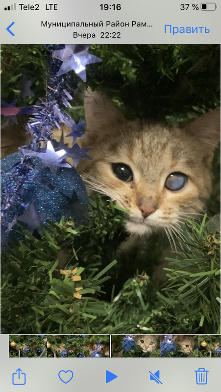 3C079B7D-CFD9-4869-A6C0-5848C378B036