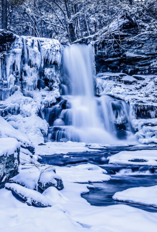 Screenshot_20231017_191909_Pinterest