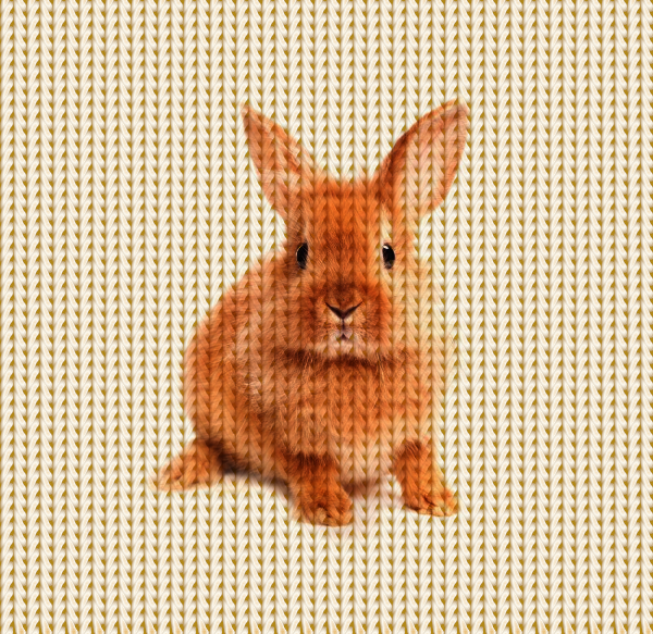 Untitled.pdnwabbit_sweater.png