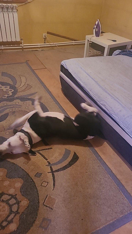 635316D6-5A69-4957-B2C7-9E896B8D5AE9