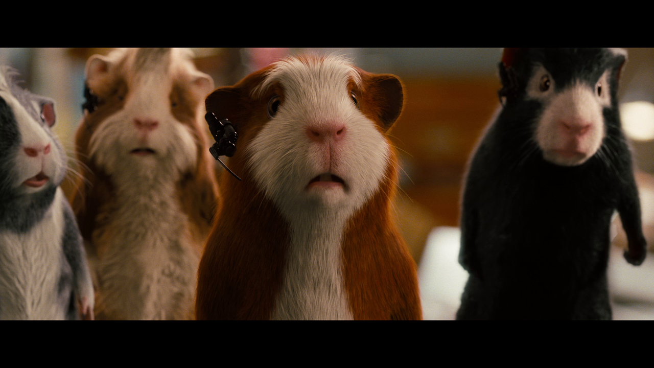 vlcsnap-2024-04-02-19h13m44s303