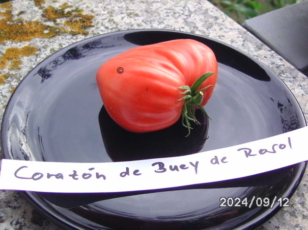 [Bild: BILD0412.jpg]
