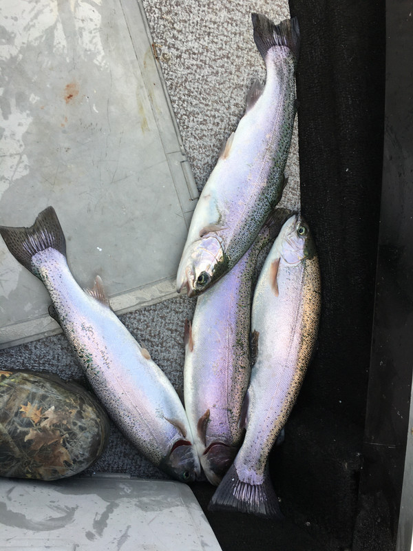 2BC19646-B3EE-4119-8AFB-C45EFB6FE859