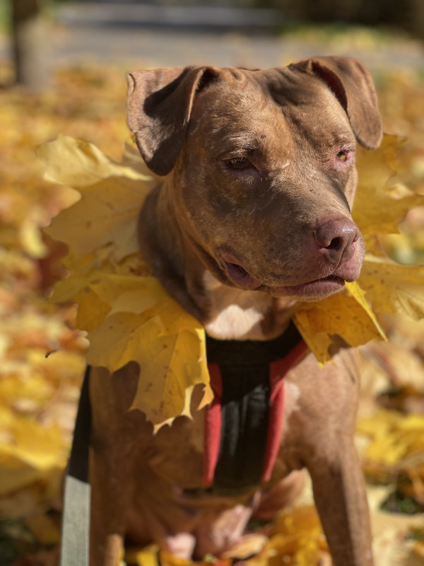 850A249E-BEBC-4B0C-8F3E-64DAE05F6B6D