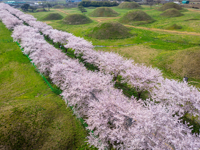 [Image: 5-2048-1713938901.jpg]