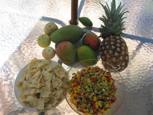 My mango salsa b 9-1-2013