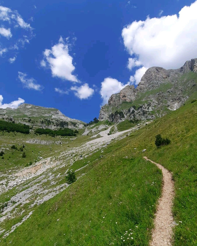 image_54564e14-2c4e-4e2d-ae33-a6f933fc958320200807_114309