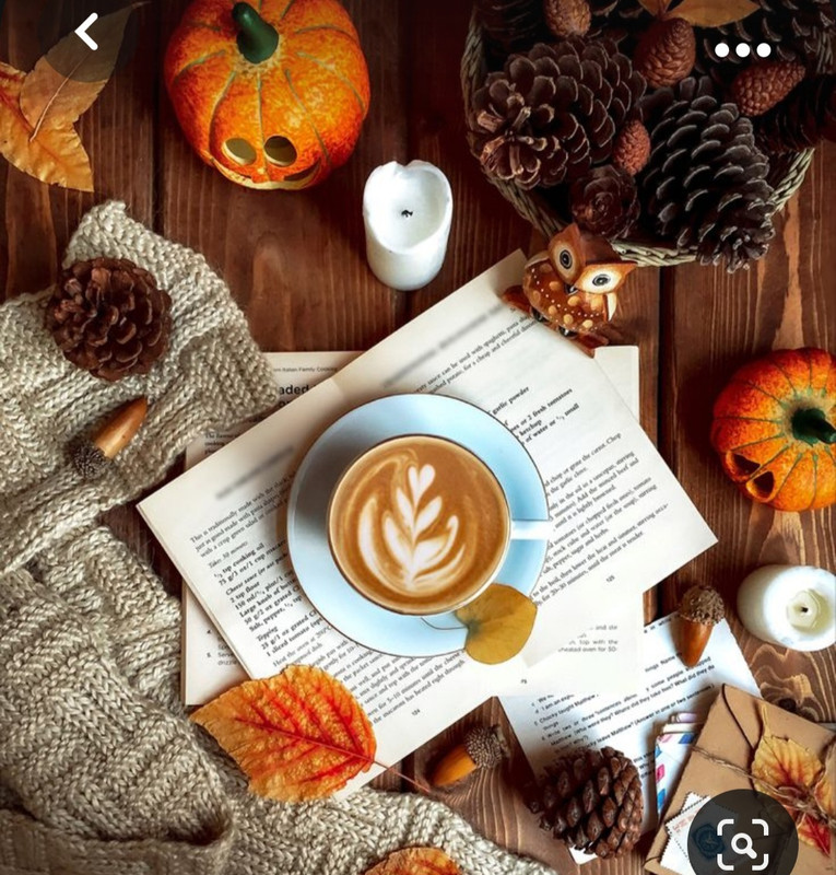 Screenshot_20231015_205933_Pinterest