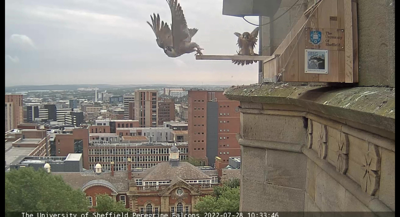 Sheffield/Yorkshire. - Pagina 4 Video-2022-07-28-124855-Moment-4