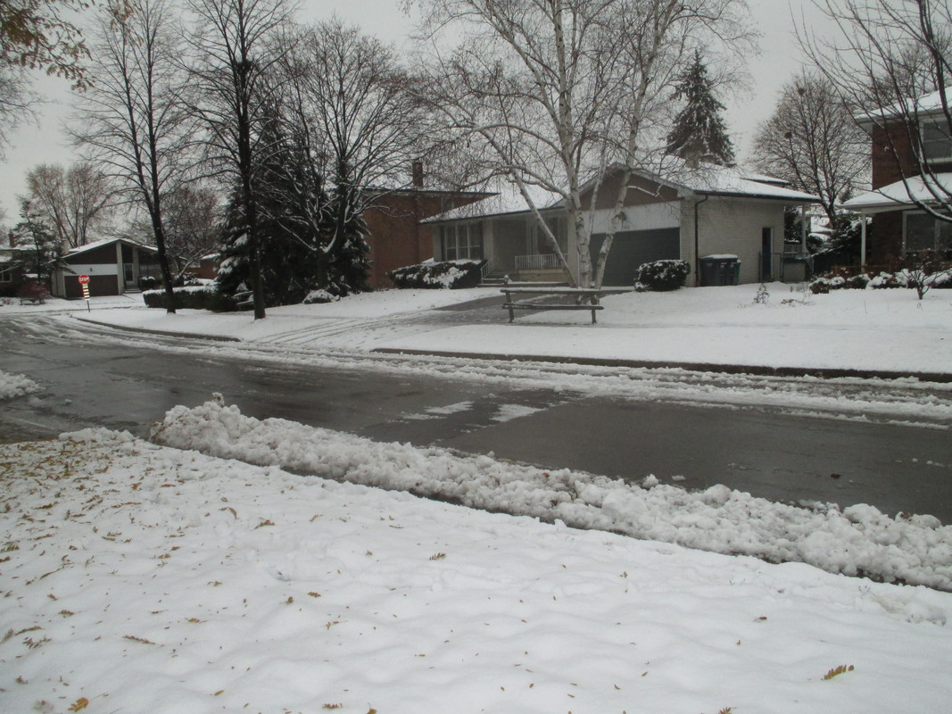 IMG-0741.jpg