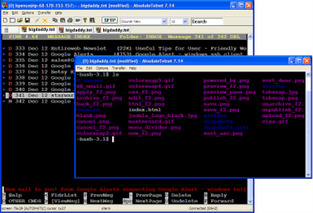 Absolute Telnet 11.21 Absolute Telnet 11.21