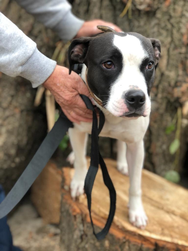 WhatsApp Image 2022-09-07 at 13.18.22 (1)