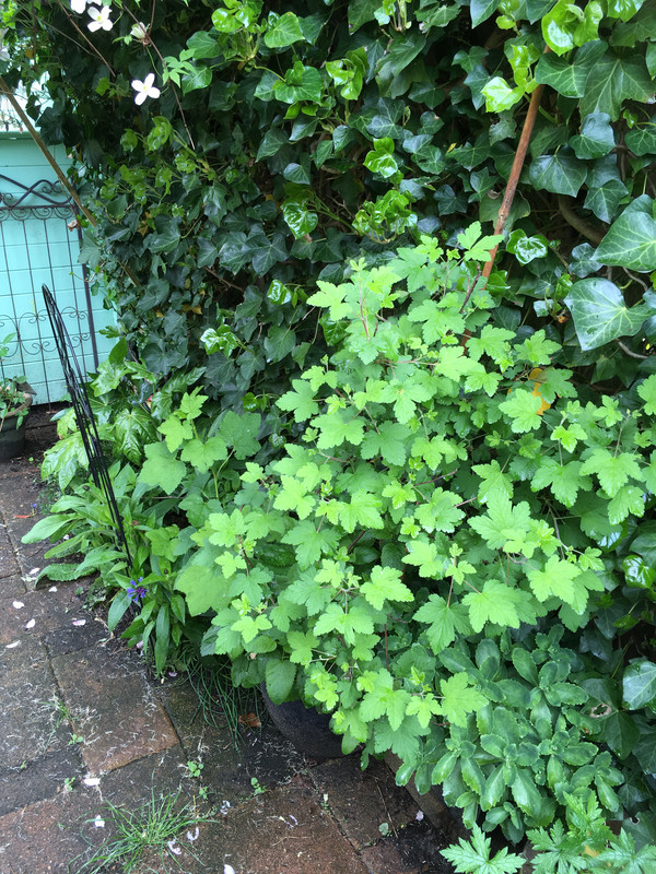 D6C3BA04-F2AE-4ED3-9803-8341F1756D86