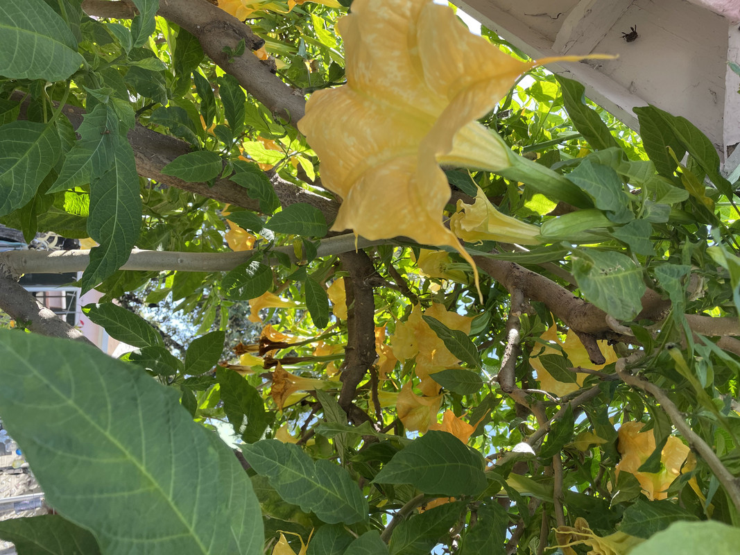 0F15AD9F-CD2F-433B-B3AF-244E9AAA7587