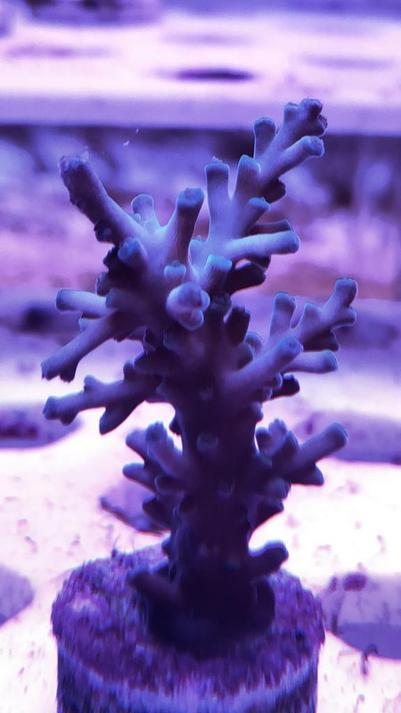 CBCAAC77-CE1E-48CD-8B19-8C3B75132709