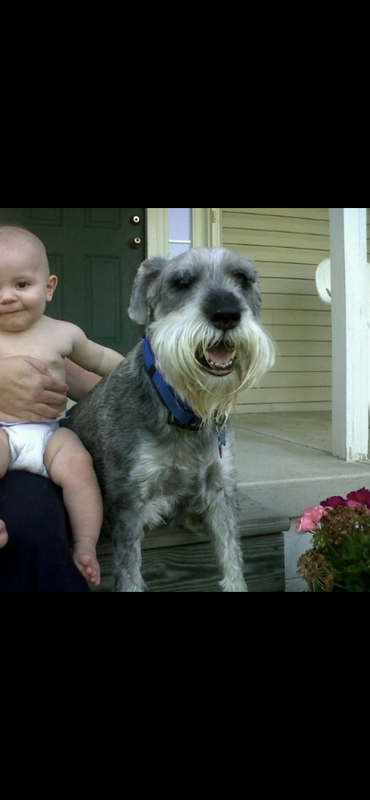 59323654-C4A3-4DC0-9B64-CD3BC5C2A492