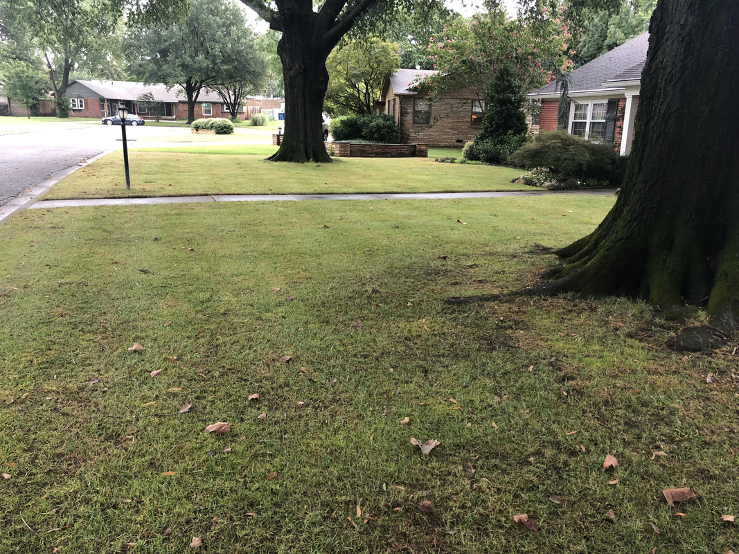 9BE527FB-190D-47EE-8B36-A5B27999E936