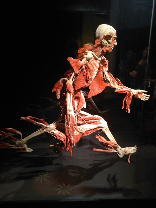 73222517_469482563655810_9091522854469500928_n