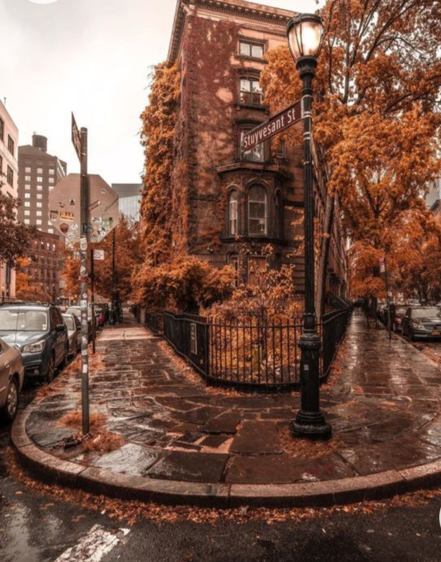 Screenshot_20230124_000321_Chrome