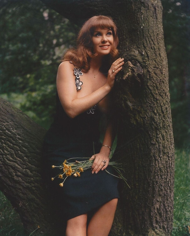 carol_cleveland_a34