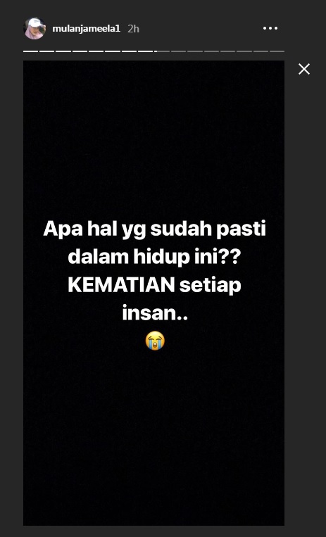 Instagram Story (mulanjameela1)


