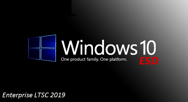 Windows 10 x64 Enterprise LTSC 2019 ESD en-US Preactivated November 2020